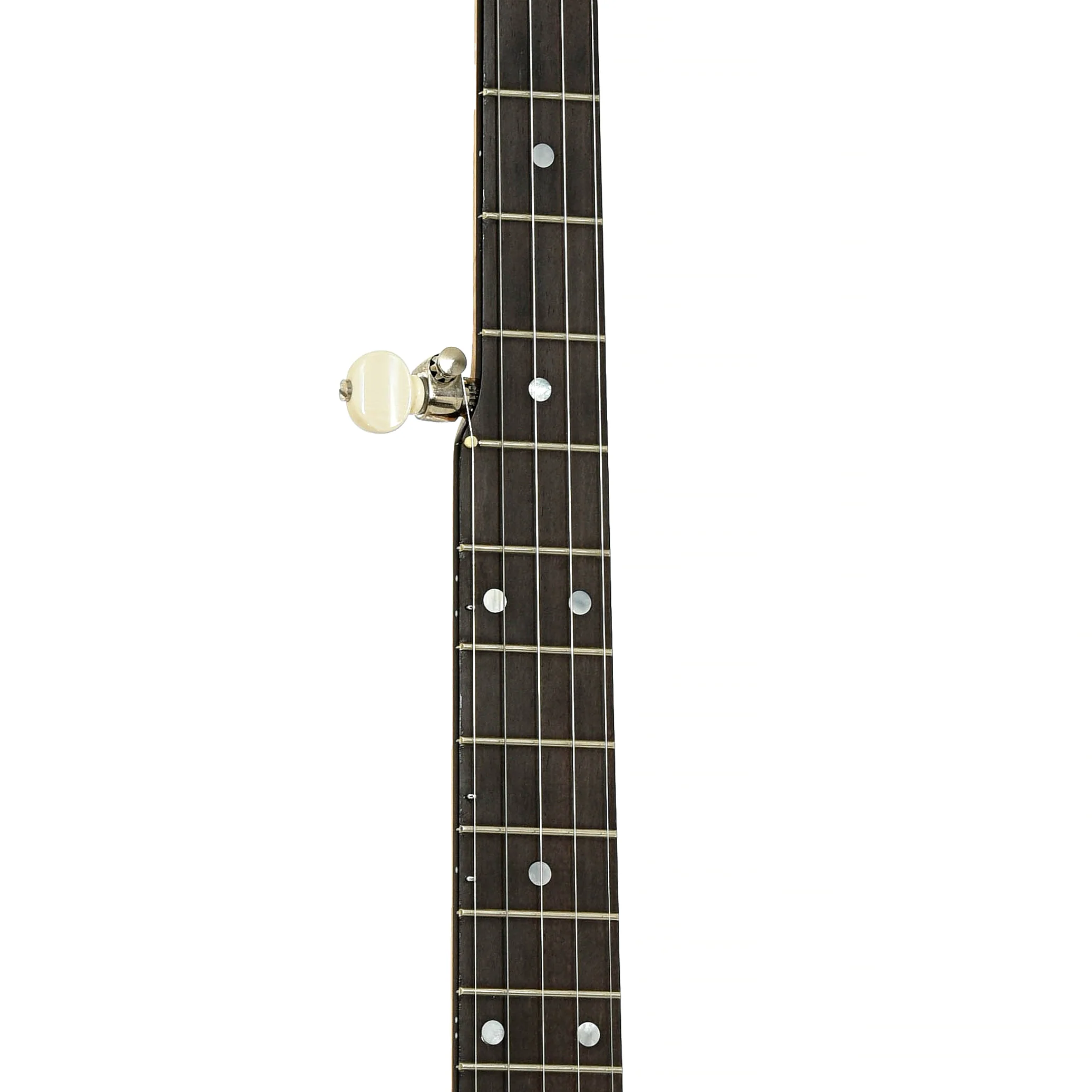 Wildwood Minstrel Open Back Banjo (1988) - Image 7