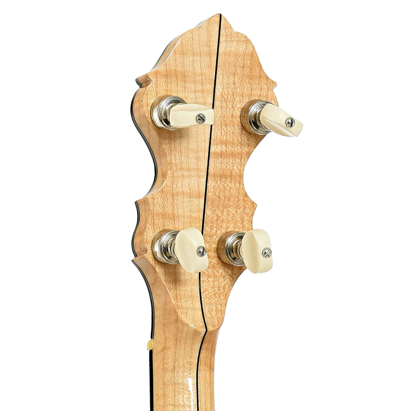 Wildwood Minstrel Open Back Banjo (1988) - Image 9
