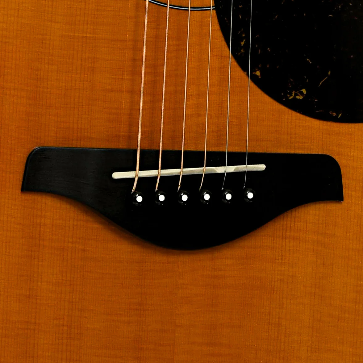 Yamaha AC5M ARE Concert Cutaway Acoustic-Electric Guitar (2024) - Image 5