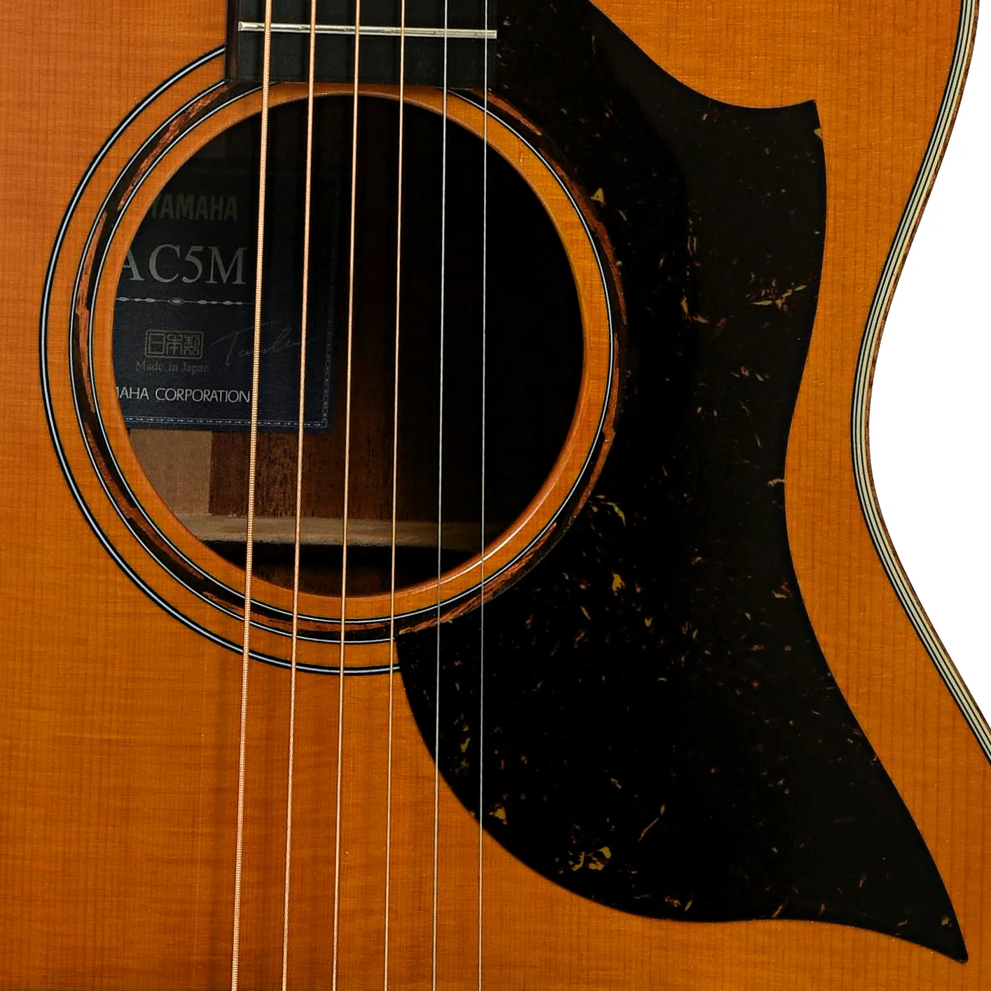 Yamaha AC5M ARE Concert Cutaway Acoustic-Electric Guitar (2024) - Image 6