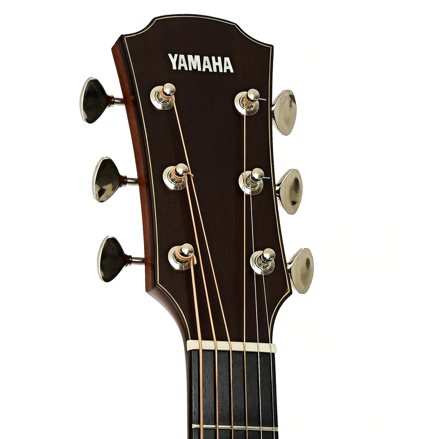 Yamaha AC5M ARE Concert Cutaway Acoustic-Electric Guitar (2024) - Image 8