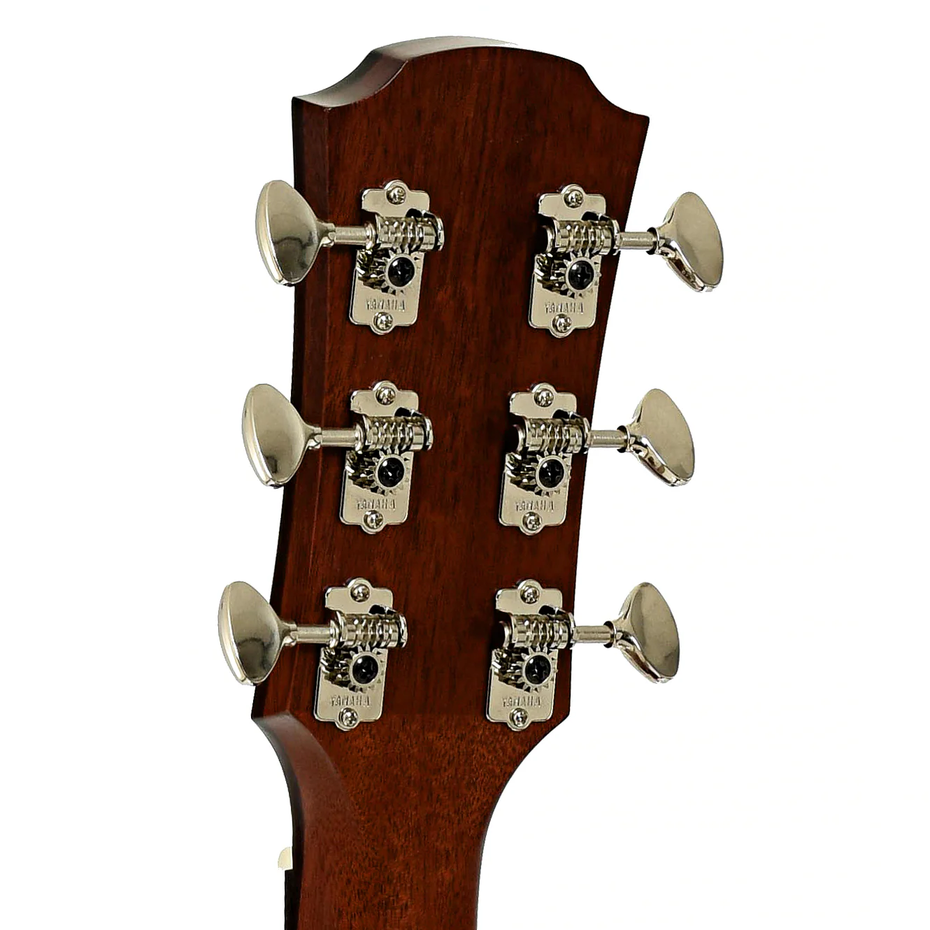 Yamaha AC5M ARE Concert Cutaway Acoustic-Electric Guitar (2024) - Image 9